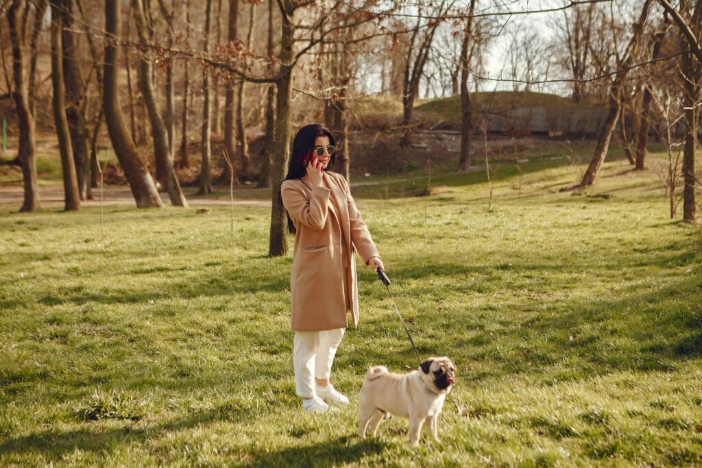 Woman taking a walk with her pug in a sunlit park while on the phone, dressed in a beige coat.