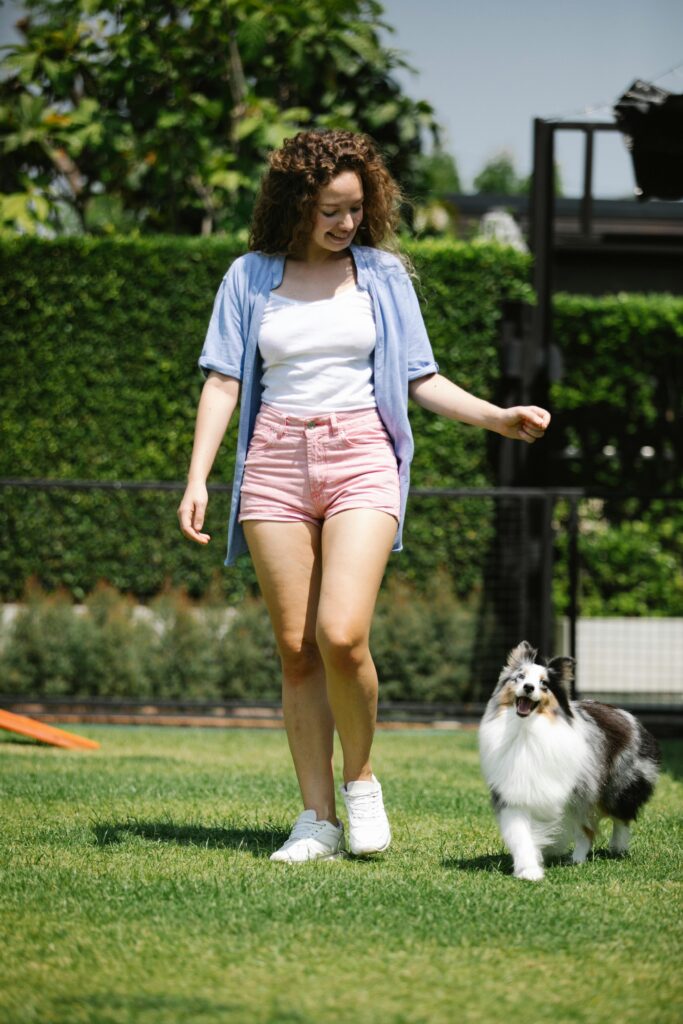 Cheerful woman gesticulating while teaching charming purebred dog with fluffy fur on lawn in sunlight