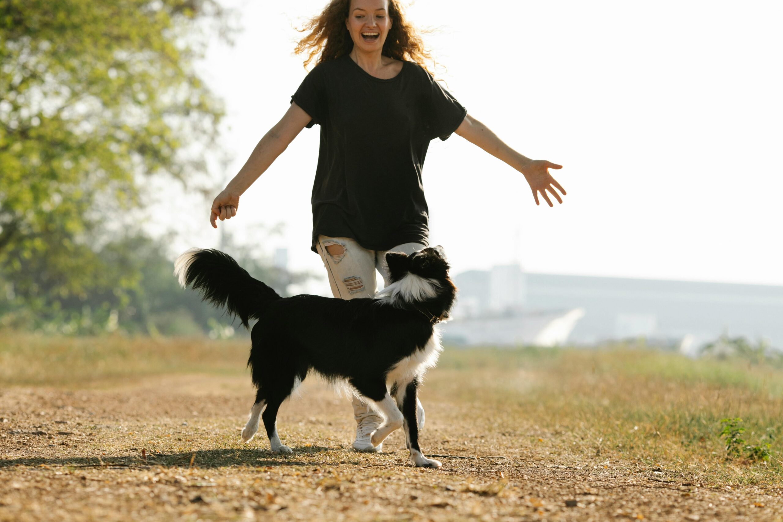 Delighted crop female owner running with black Border Collie dog on path while having fun in rural area with tree